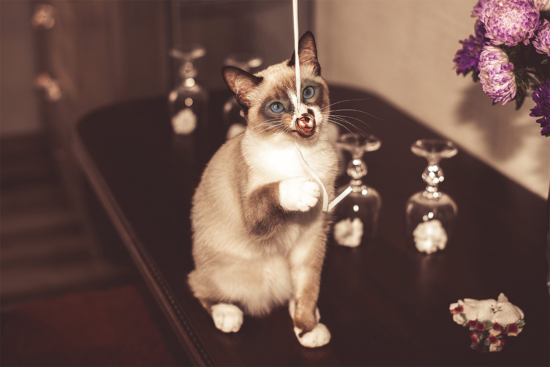 Romantic wedding and couple photography by Elina PX – Monaco & Cannes