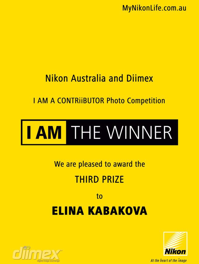 elina kabakova event photographer