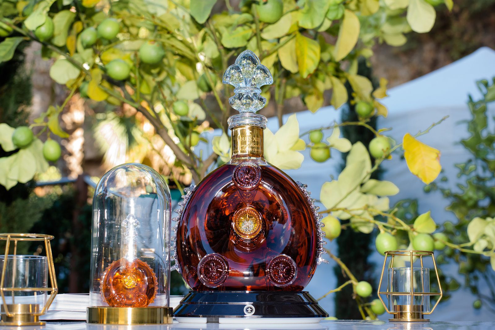 Lively vibe in event photography at a prestigious French gathering